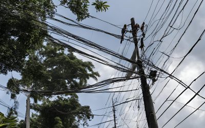 Discover the Hidden Risks of Neglecting Tree Trimming