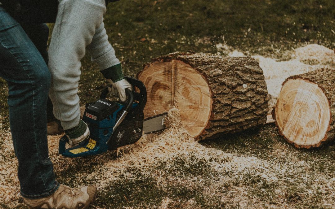 Top 5 Tools Every Gardener Needs for Safe Tree Cutting
