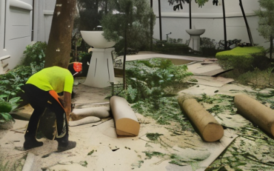 The Secret to Thriving Trees: Consistent Trimming Practices