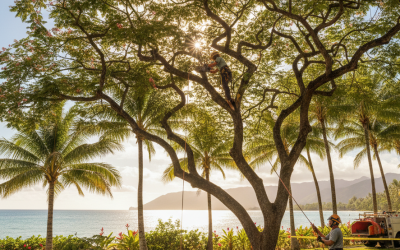 Best Time of the Year for Tree Trimming in Tropical Climates